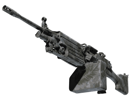 M249 | Полуночная пальма