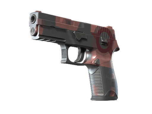 P250 | Конструктивизм