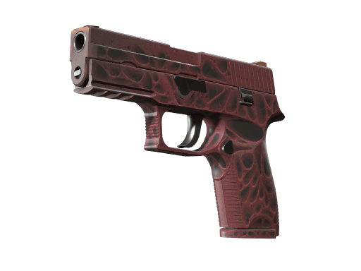 P250 | Загрязнитель