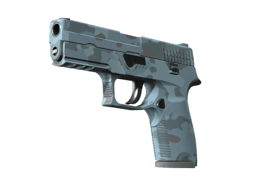 P250 | Лесная ночь