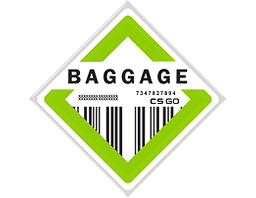Коллекция Baggage